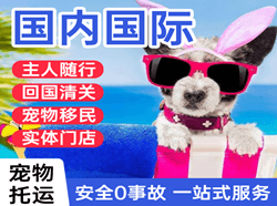 银川机场货运国际宠物托运 【国